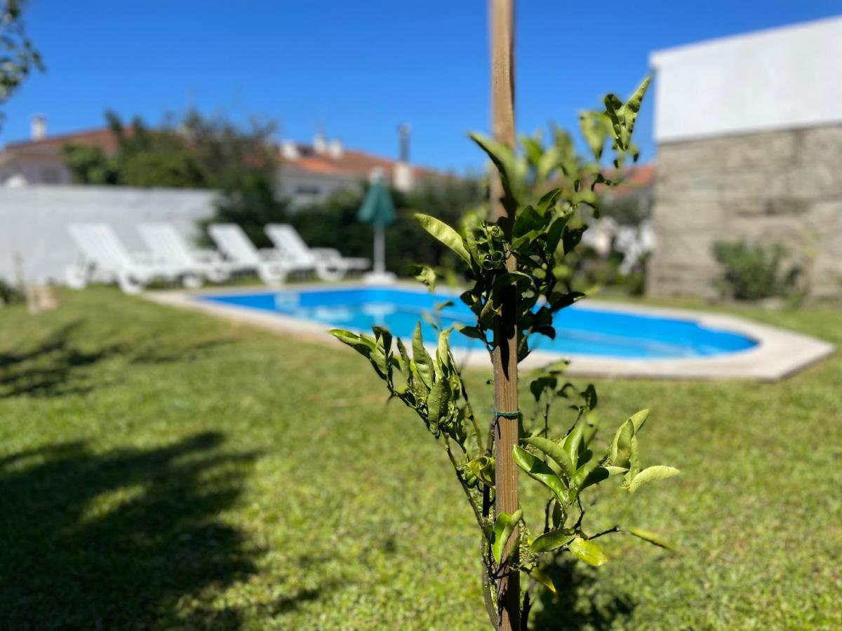 Casa Do Albano Βίλα Βιάνα ντο Καστέλο Εξωτερικό φωτογραφία