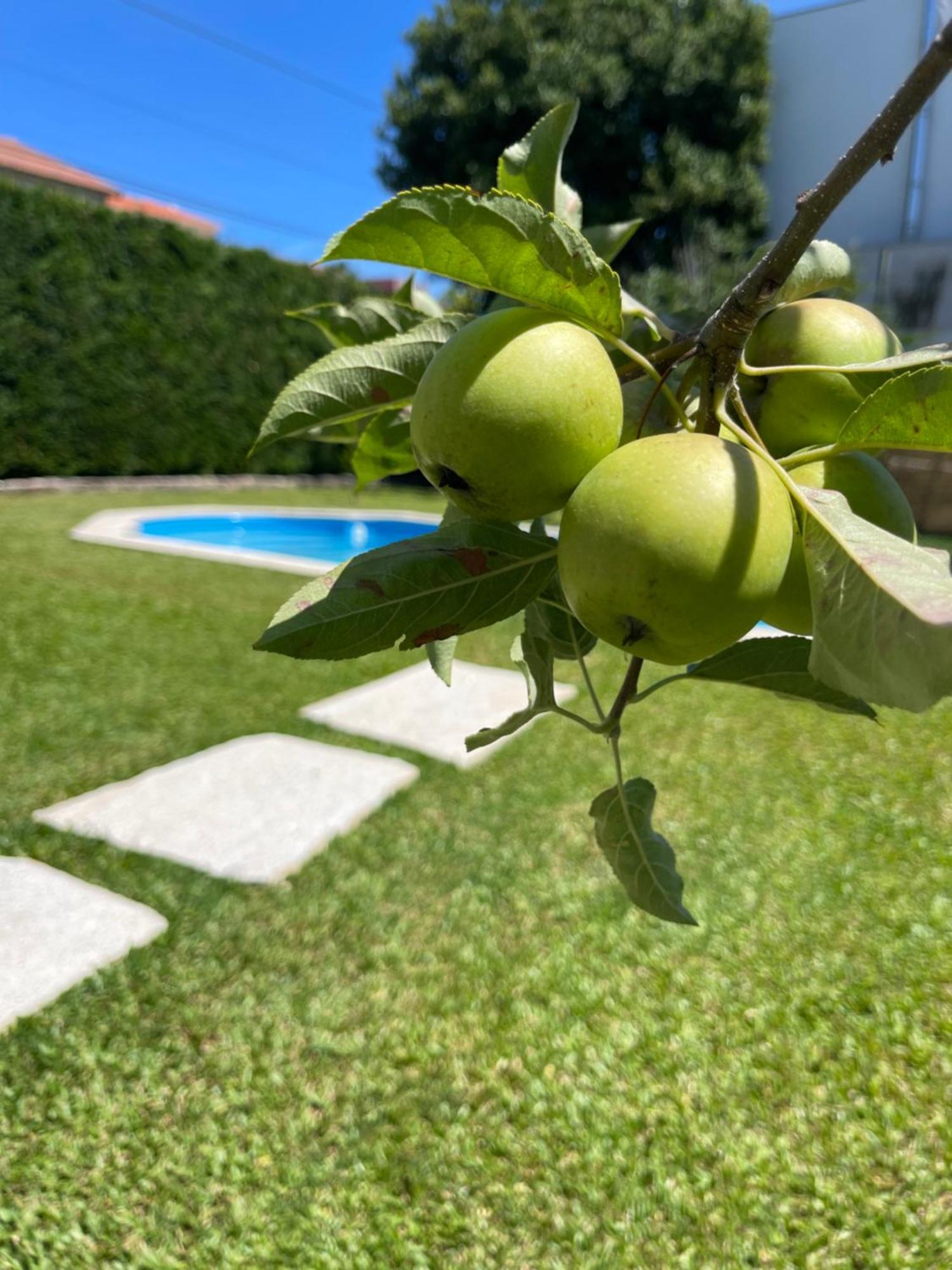 Casa Do Albano Βίλα Βιάνα ντο Καστέλο Εξωτερικό φωτογραφία